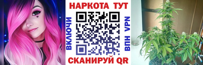 Купить наркотики Щигры Гашиш  Амфетамин  APVP  МЕФ  Cocaine  Каннабис 