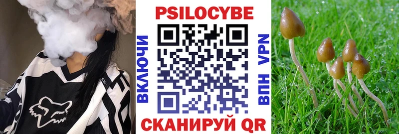 маркетплейс официальный сайт  Щигры  Галлюциногенные грибы мухоморы 